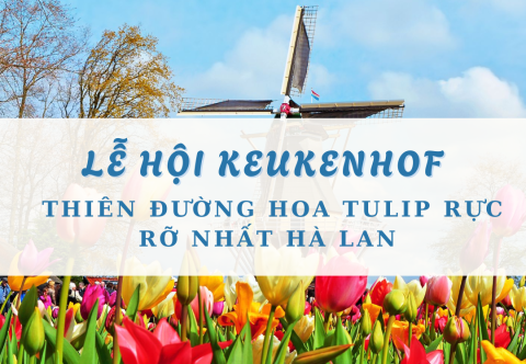 Lễ hội Hoa Keukenhof 2025: Thiên đường hoa tulip rực rỡ nhất Hà Lan
